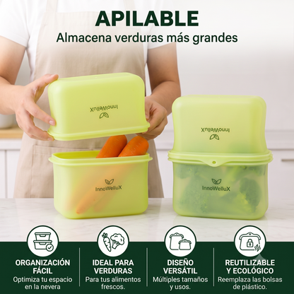 Contenedor de Silicona de Platino (1 Litro)